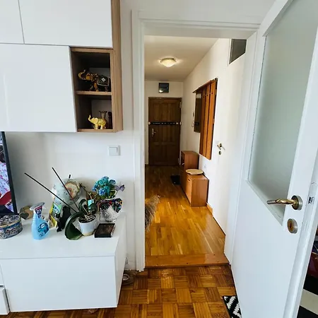 公寓 Linden Alley Retreat With Free Parking 塞拉耶佛